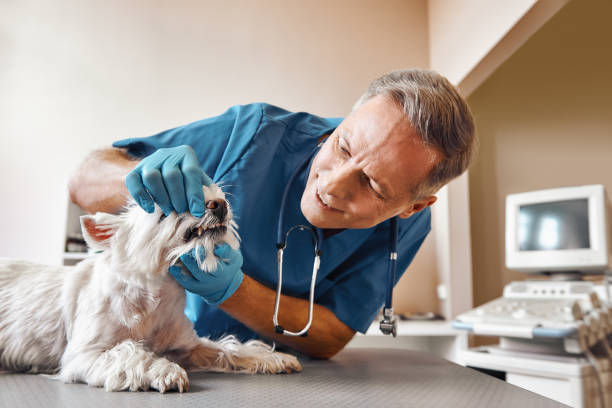 Best After-Hours Emergency Dentist in Rossmoyne, OH